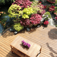 New Decking